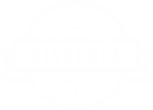Szélvédő javítás Kiskőrös